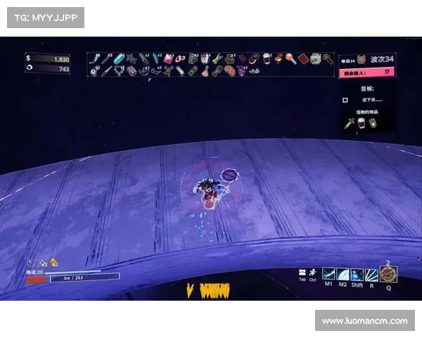 雨中冒险2单机存档指南